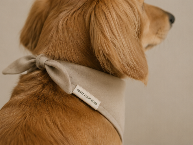Bandana Pour Chien "Petit Loup"